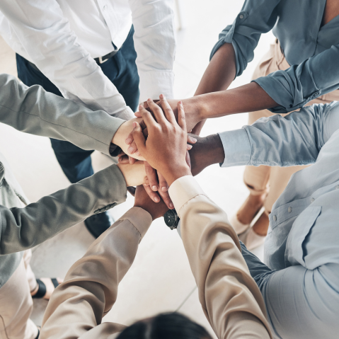 Mission and vision of High Quality for Wood Pallets